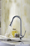 Singer Series Single-Handle Pull-Down Sprayer Kitchen Faucet