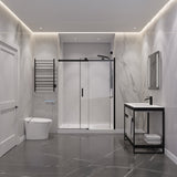 Rhodes Series 45 to 48 in. x 76 in. Sliding Frameless Shower Door with Tsunami Guard Tempered Glass