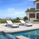 PURPLE LEAF Patio Lounge Chair with Canopy Shade Outdoor Chaise Lounge Chair Set of 2 for Lawn Poolside Backyard Sunbathing Tanning Chairs with Arm