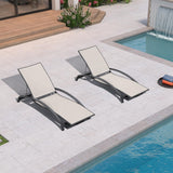 PURPLE LEAF Patio Lounge Chair with Canopy Shade Outdoor Chaise Lounge Chair Set of 2 for Lawn Poolside Backyard Sunbathing Tanning Chairs with Arm