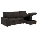 Demko Sleeper Sectional Sofa with Speaker and Storage Chaise Brown