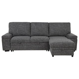 Demko Sleeper Sectional Sofa with Speaker and Storage Chaise Granite