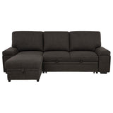 Demko Sleeper Sectional Sofa with Speaker and Storage Chaise Brown