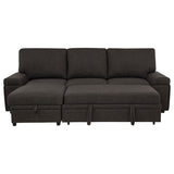 Demko Sleeper Sectional Sofa with Speaker and Storage Chaise Brown