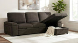 Demko Sleeper Sectional Sofa with Speaker and Storage Chaise Brown