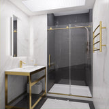 Madam Series 44 to 48 in. x 76 in. Sliding Frameless Shower Door with Tsunami Guard Tempered Glass