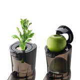 Whole Slow Juicer EVO820