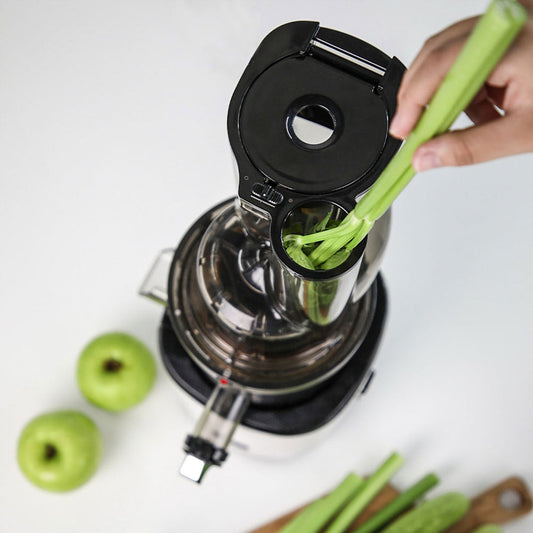 Whole Slow Juicer REVO830