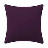 Velvet Pillow Cover (Set of 1)