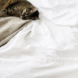 300TC Sateen Stripe Cotton Top Sheet