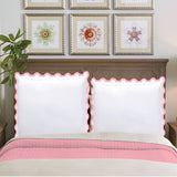 400TC U Shape Applique Embroidery Cotton Euro Sham