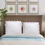 Imaginary Scallop 400TC Cotton Embroidery Sateen Solid Euro Pillow Sham