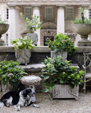 Rectangular Faux Bois Planter