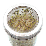 Curved Rust Proof Sprouting Lid and Band for Mason Jars