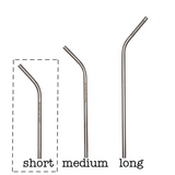 Individual Stainless Steel & Glass Straws for Mason Jars