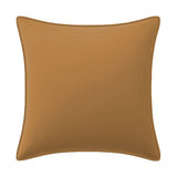 Velvet Pillow Cover (Set of 1)
