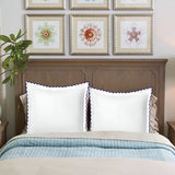400TC Cotton Small Scallop Embroidery Euro Sham
