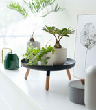 Countertop Pedestal Tray (5" H)  - Steel + Wood