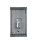 Royster Silver Outdoor Wall Sconce