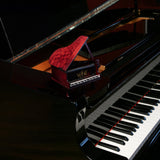 Piano Shaped Whiskey & Wine Decanter - 25OZ Pianist Instrument Unique Decanter Set