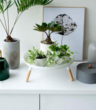 Countertop Pedestal Tray (5" H)  - Steel + Wood