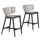 PURPLE LEAF Outdoor Bar Stools, All Weather Rattan and Aluminum Patio Bar Stool with Cushion for Indoor and Outdoor.