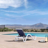 PURPLE LEAF Patio Chaise Lounge Chair Outdoor Plastic Textilene Sun Bathing Recliner Tanning Pool Lounger with 6 Adjustable Position for Outside Beach in-Pool Lawn Poolside