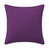 Velvet Pillow Cover (Set of 1)