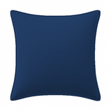 Velvet Pillow Cover (Set of 1)