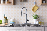 Accent Single Handle Pull-Down Sprayer Kitchen Faucet