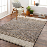 Beige Charcoal Areli Outdoor Area Rug