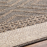 Beige Charcoal Areli Outdoor Area Rug