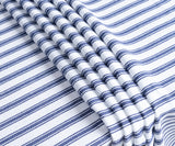 Blue and White Striped Tablecloth