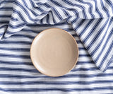 Blue and White Striped Tablecloth