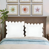 400TC Zig & Zag U Shape Scallop Embroidery Cotton Solid Euro Sham