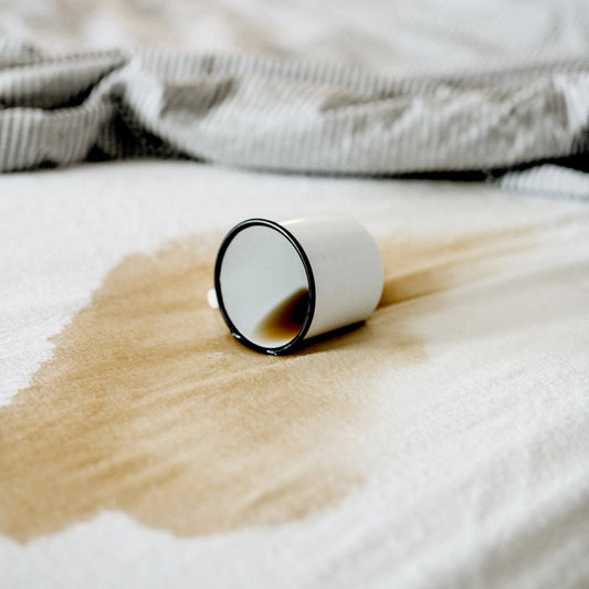 Premium Terry Cloth Top Mattress Protector