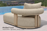 PURPLE LEAF Outdoor Chaise Lounge  Modern Luxury Aluminum Lounger Daybed with Olefin Lumbar Pillow and Armrest for Patio Poolside Beach Sunbathing Deck