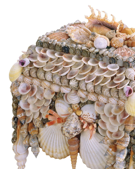 Boardwalk Natural Shell Jewelry Box