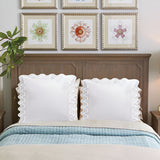 Imaginary Scallop 400TC Cotton Embroidery Sateen Solid Euro Pillow Sham