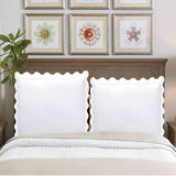 400TC U Shape Applique Embroidery Cotton Euro Sham
