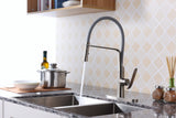 Accent Single Handle Pull-Down Sprayer Kitchen Faucet