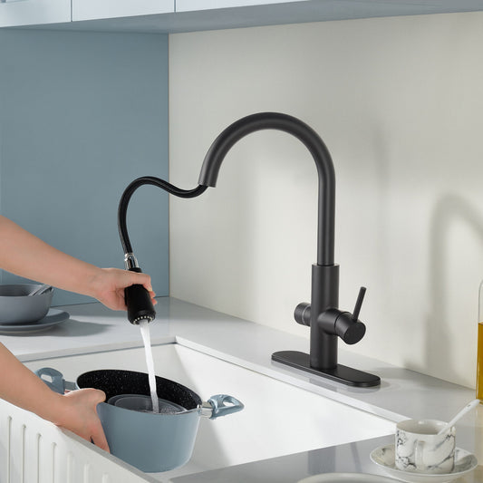 ANZZI Sunset 4-in-1 Faucet: Cold, Filtered, Instant Hot & Boiling Water Dispenser, Pull-Out Sprayer, Digital Tank Control, ETL Certified