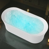 ANZZI Julia Series 67 in. Freestanding Acrylic Air and Whirlpool Bathtub with Touch Sensitive Control and Chroma Lights