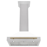ZLINE 30" Autograph Stainless Wall Range Hood KB4SNZ-WM30-CB