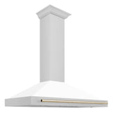 ZLINE 48" Autograph Stainless Wall Range Hood KB4SNZ-WM48-G