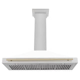 ZLINE 48" Autograph Stainless Wall Range Hood KB4SNZ-WM48-G