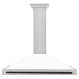 ZLINE 48" Autograph Stainless Wall Range Hood KB4SNZ-WM48-MB