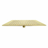 ZLINE 12" Bliss Shower Head in Polished Gold BLS-H12-PG