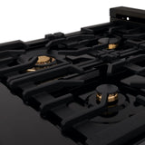 ZLINE 24" Black Stainless, Gas Brass Burner, Electric Range, RAB-BR-24