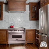 ZLINE 28" Stainless Steel Under Cabinet Range Hood Insert, 698-28